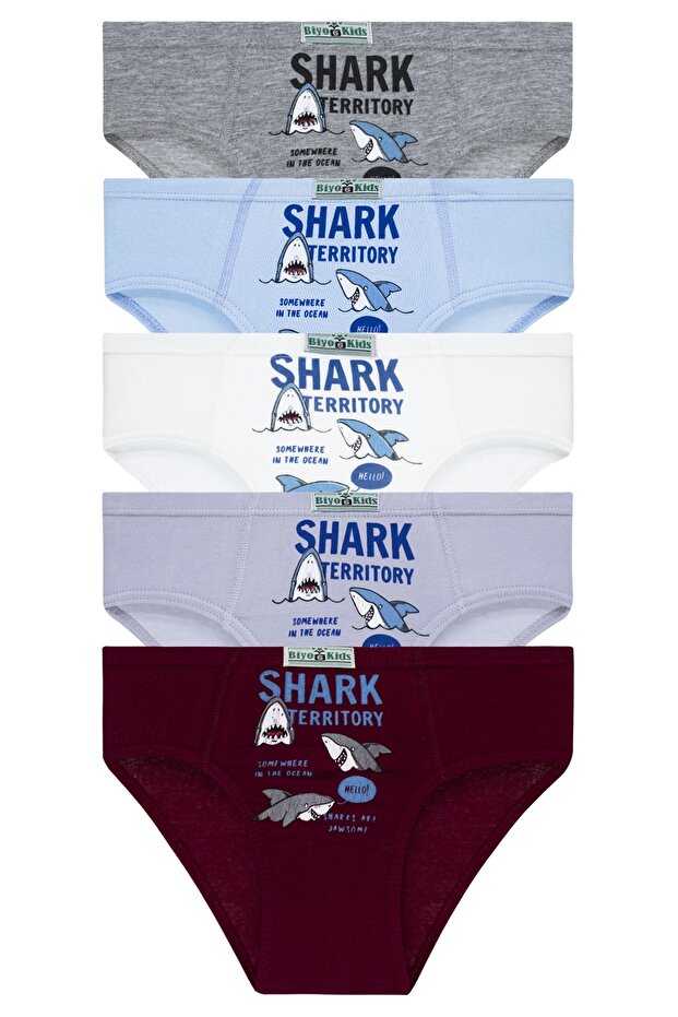 Boy's Panties Pack of 5 Mixed Color Printed Panties