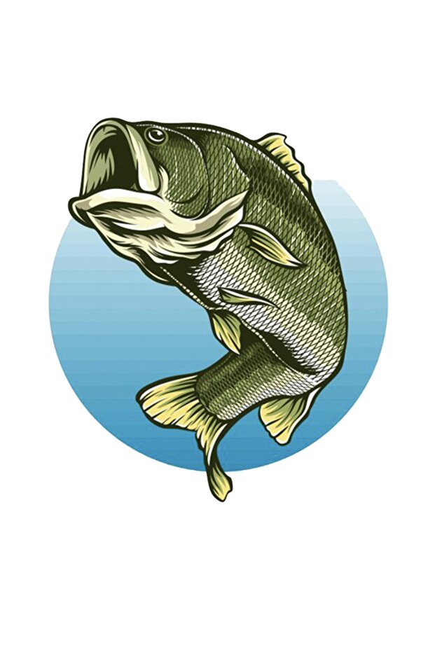 Fish Fish Auto, Motorcycle, Helmet, Laptop Sticker 13x10 Cm