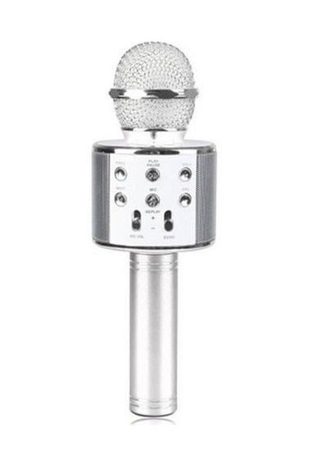 Karaoke Mikrofon Bluetooth Aux Usb Sd Kart Girişli (WS-858) - 2