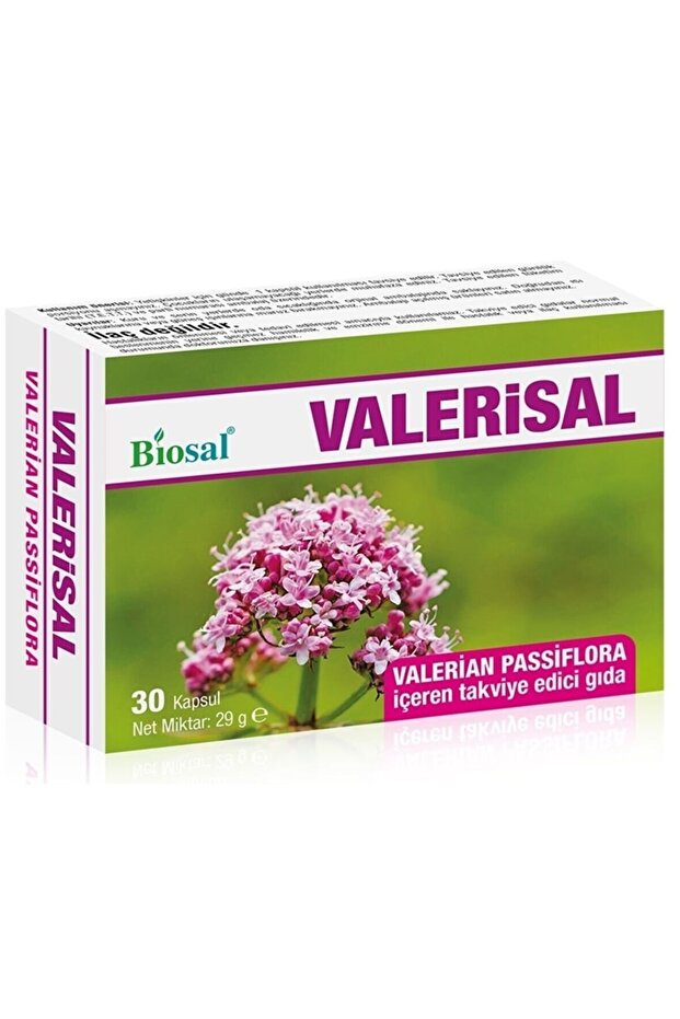 Passiflora Mayıs Papatyası Multi Complex - 3