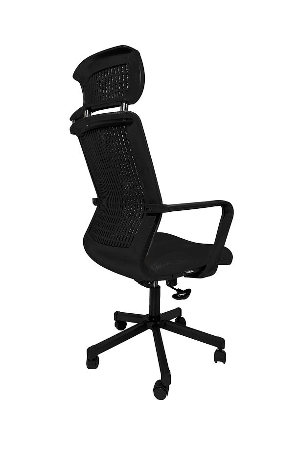 Efor Fileli Şef Bilgisayar Ofis Çalışma Koltuğu Fk1401 Siyah - 3