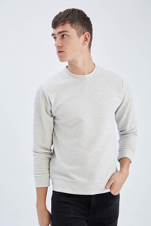 Regular Fit Sweatshirt - 1