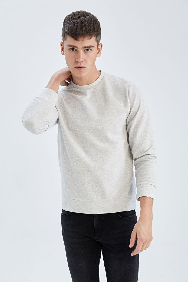 Regular Fit Sweatshirt - 3