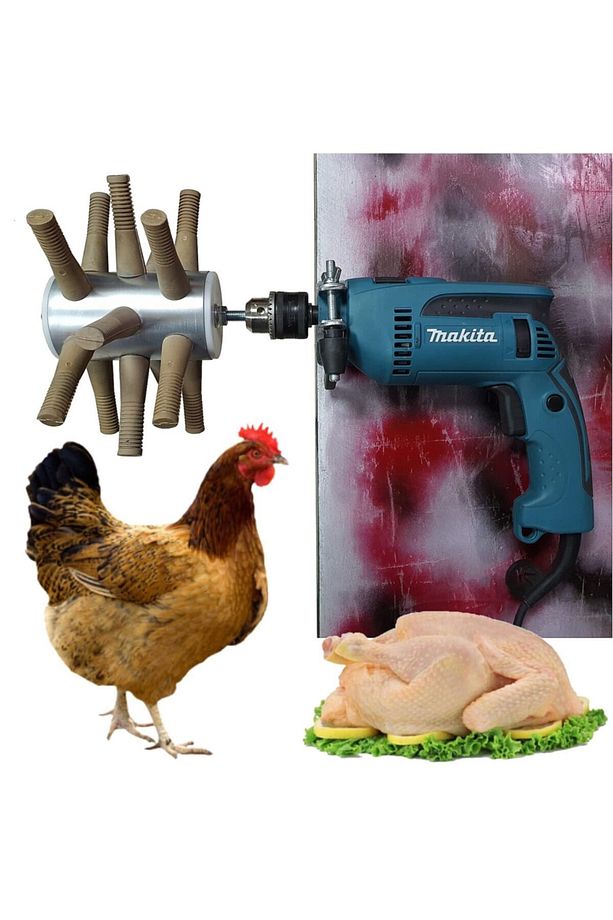 Tavuk + Kuş Tüy Yolma Aparatları Matkap Tutucu Ve Termometreli - 2