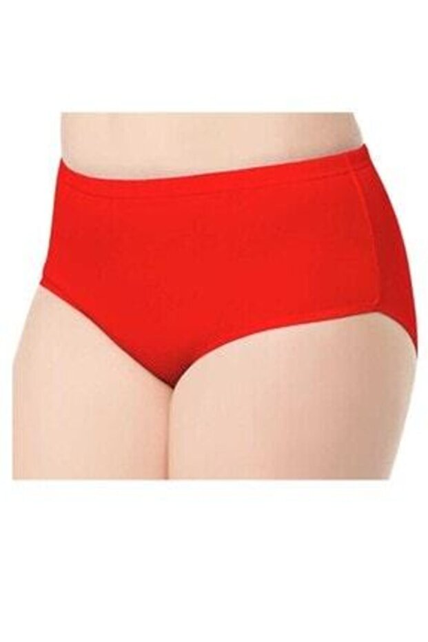 Women's Thin Elastic High Waist Panties 12pcs