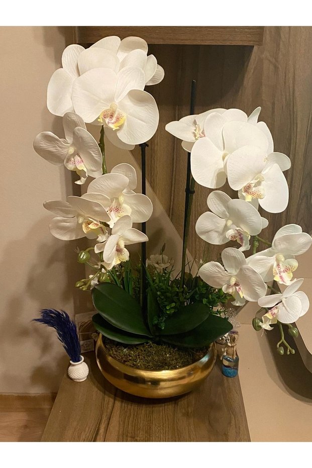 Luxury Wet Orchid Set of 2 in Gold Metal Pot