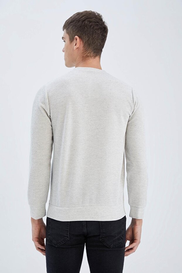 Regular Fit Sweatshirt - 4