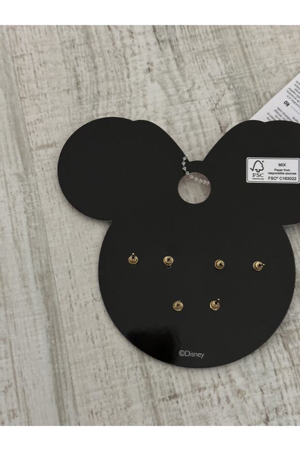 Lisanslı Çelik Küpe Seti - 3