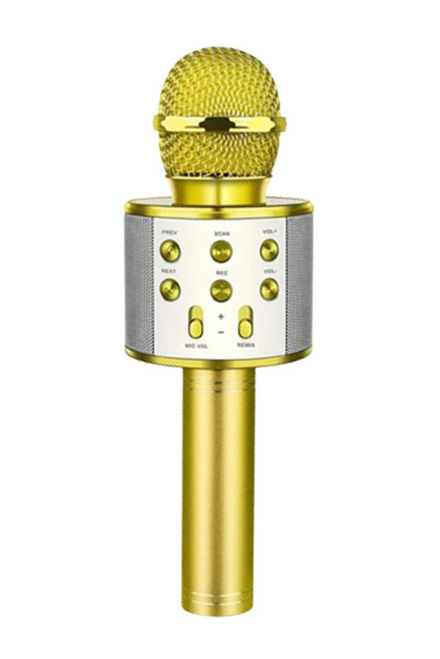 Mikrofon Aux Usb Ve Sd Kart Girişli Bluetooth Gold (WS-858) - 1