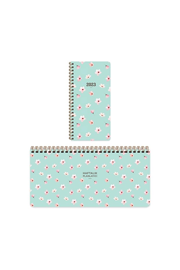 2023 Agenda Set - Water Green