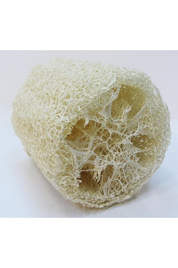 Natural Pumpkin Fiber