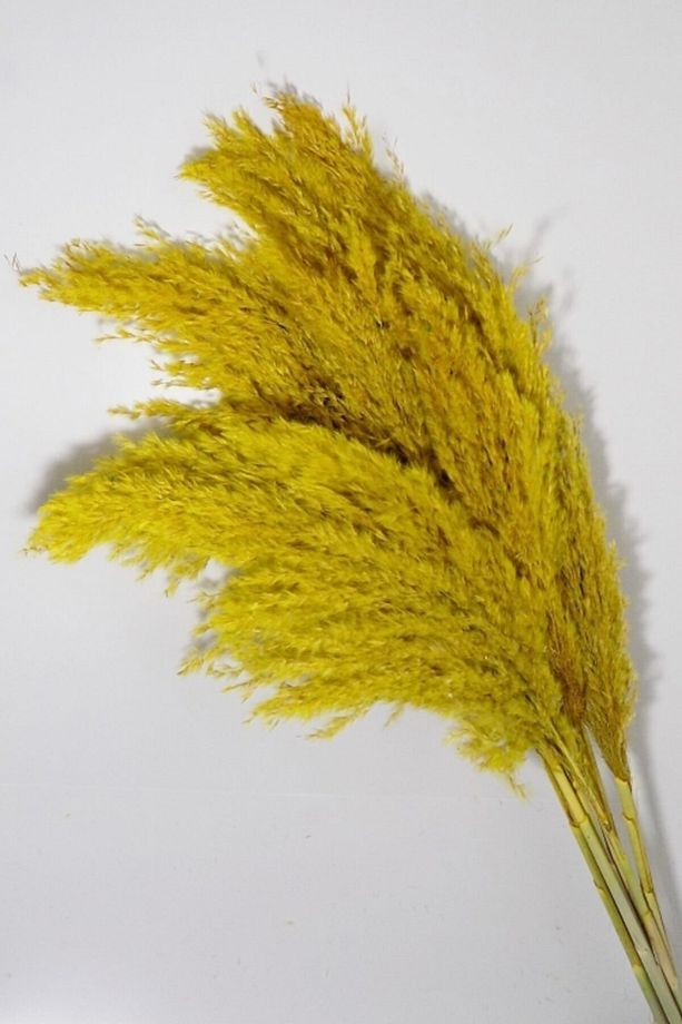 Sarı Renk Pampas 7 Adet 120 Cm - 1