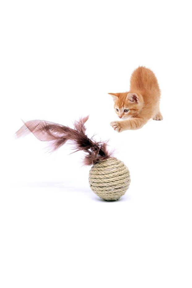 Petviya Feather Straw Ball Cat Toy 5 cm