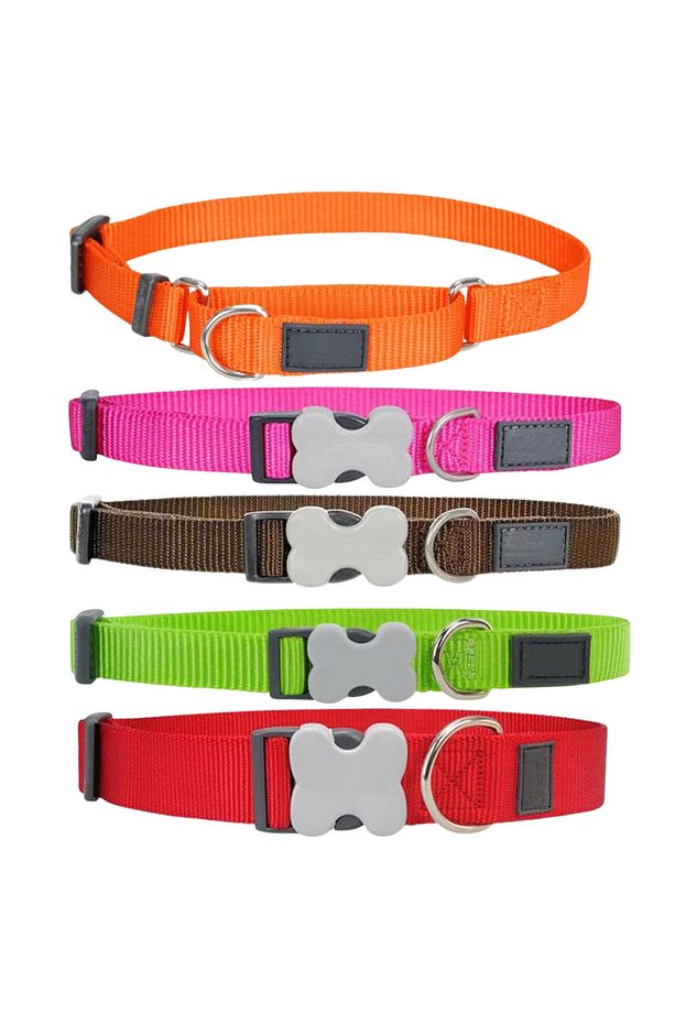 Köpek Boyun Tasması Ayarlanabilir Small 26x38x1,7 - 2