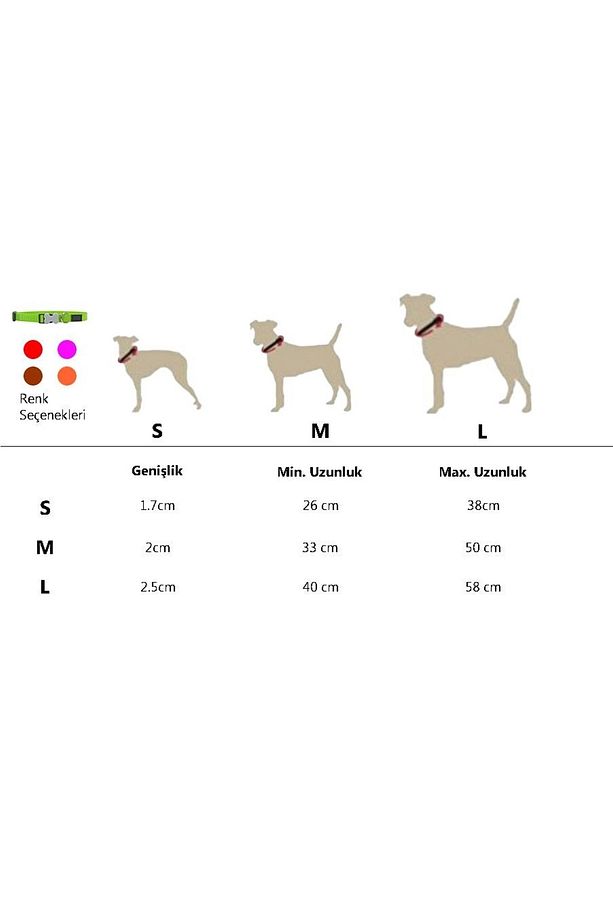 Köpek Boyun Tasması Ayarlanabilir Small 26x38x1,7 - 3