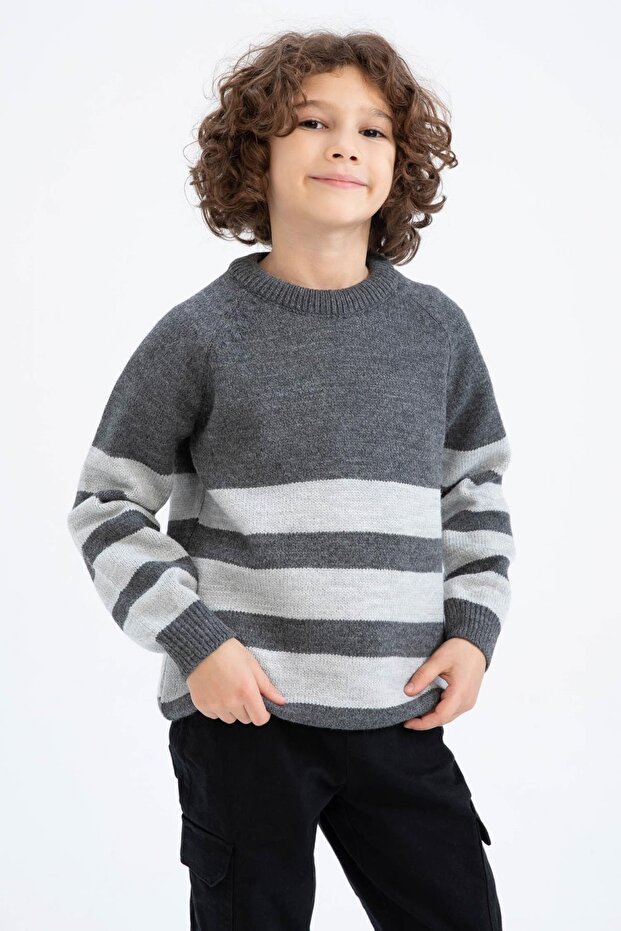 Boy's Regular Fit Crew Neck Sweater