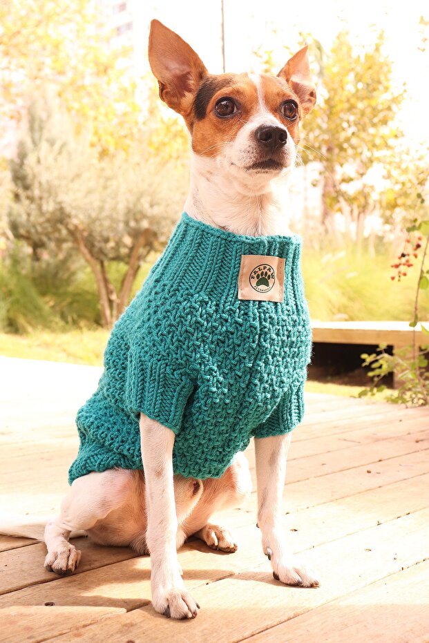 Hand Knitted Turquoise Dog Sweater-cat Sweater