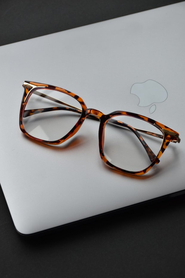 Ezra Unisex Women Men Blue Light Protected Blue Block with Filter Vintage Silver Transparent Leopard Glasses