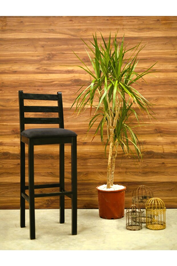 Beyaz Bar Taburesi - 3