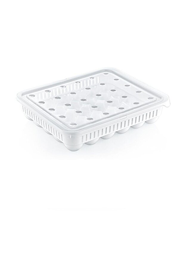 حاوية تخزين البيض 30 قطعة - 2