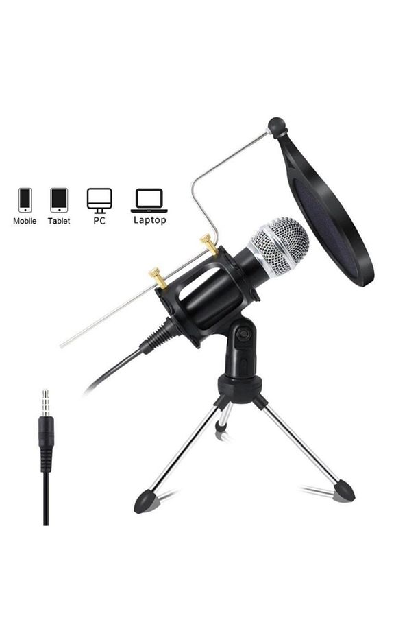 Kareoke Kondenser Mikrofon Cep Telefonu Bilgisayar Uyumlu - 3