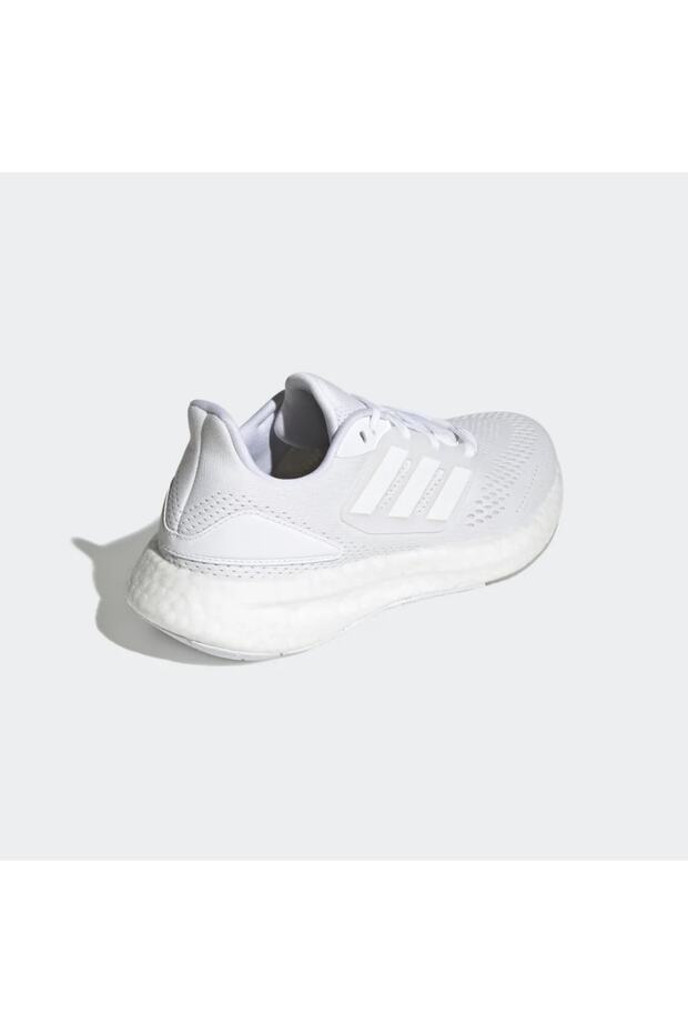 Pureboost 22W - 5