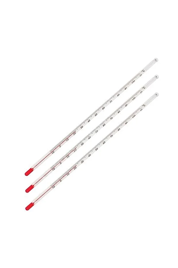 Termometre Civalı Laboratuvar Kullanımı Için 110 C Derece Baget - 4