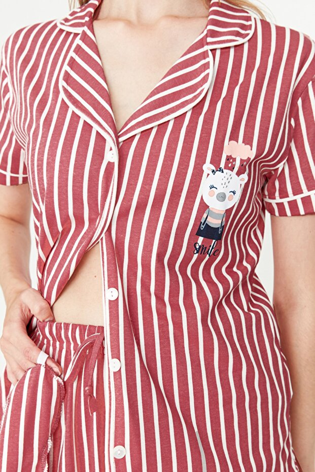 Pembe Çizgili Hayvan Baskılı Gömlek-Pantolon Örme Pijama Takımı THMSS21PT0878 - 5