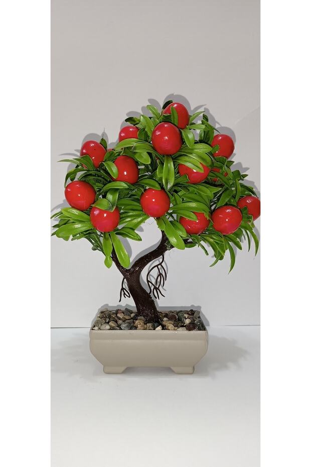 Small Potted Cherry Tree