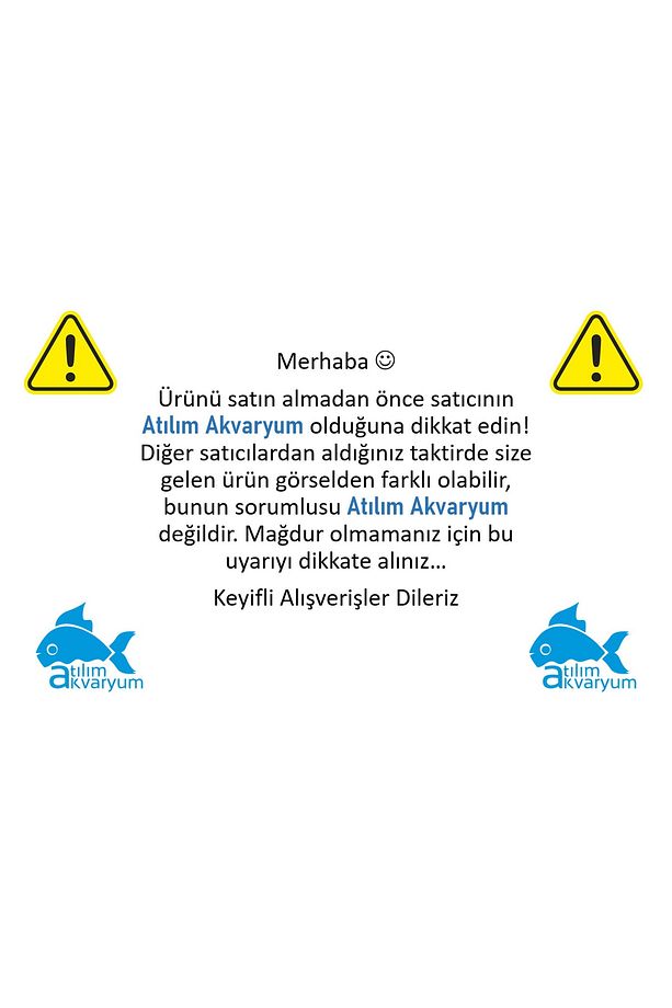 Akvaryum Bitkisi Elodea Densa 10 Dal - 4