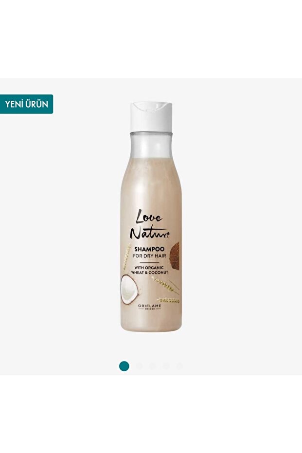 Love Nature - Wheat and Coconut Extract Shampoo for Dry Hair