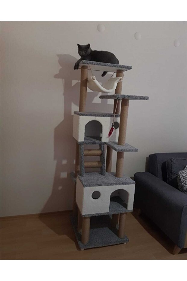 Cat Scratching House and Play Platform 100% Warranty