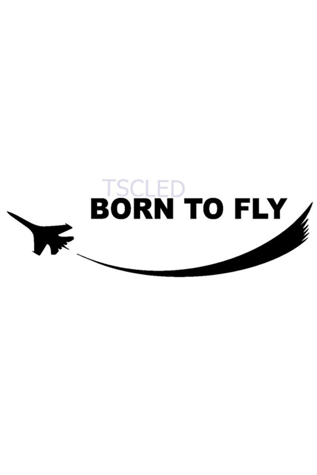 لصق ملصقات الطائرات النفاثة - 1