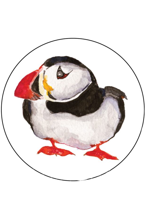 رقعة أجو - بافين ويليم - 1