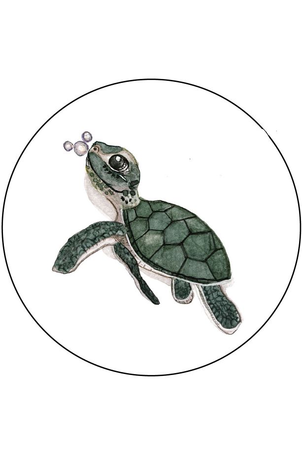 Agu Patch- Denız Kaplumbağası Shelly - 1