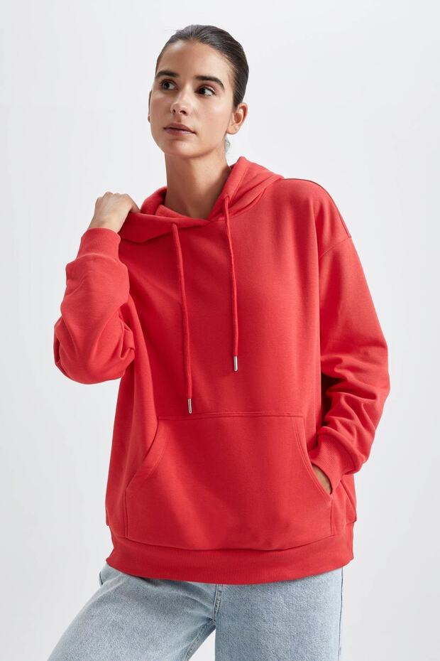 Regular Fit Kapüşonlu Sweatshirt - 4