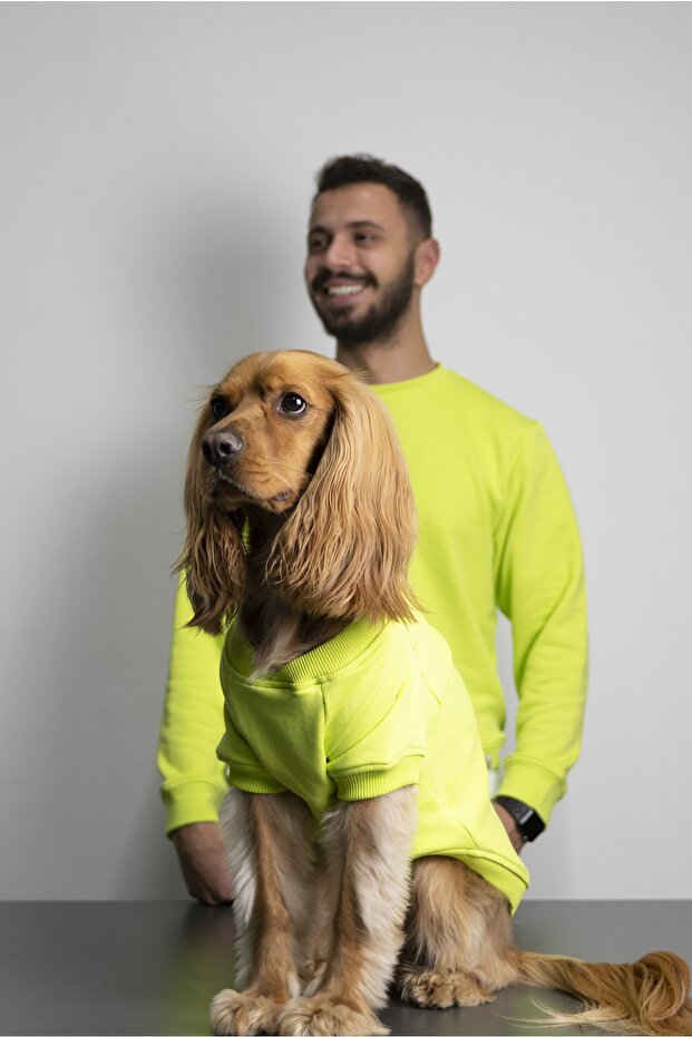 Nakış Işlemeli 3 Iplik Futter Örme Kumaş Sweatshirt (1 ADET) - 3