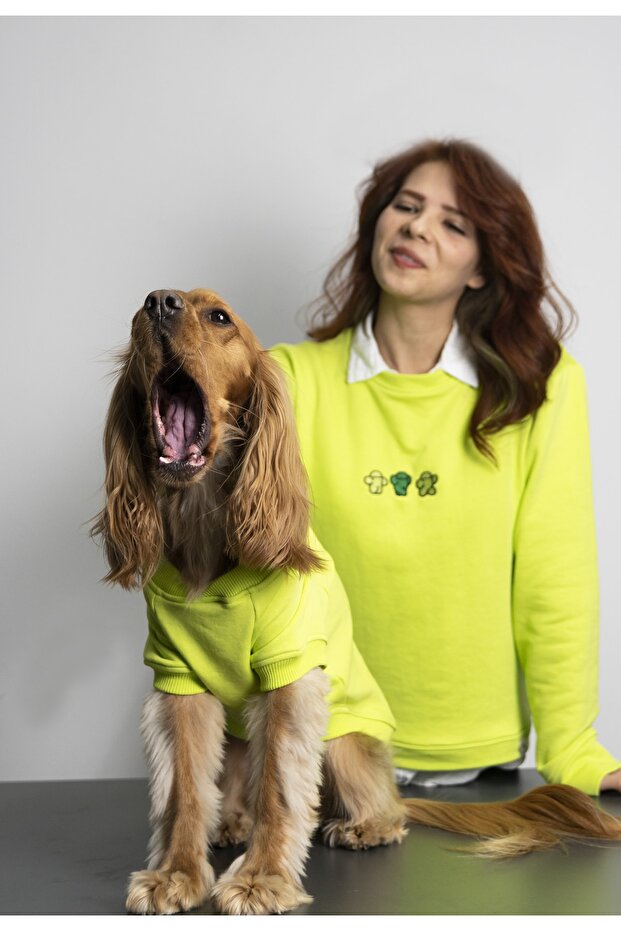 Nakış Işlemeli 3 Iplik Futter Örme Kumaş Sweatshirt (1 ADET) - 2