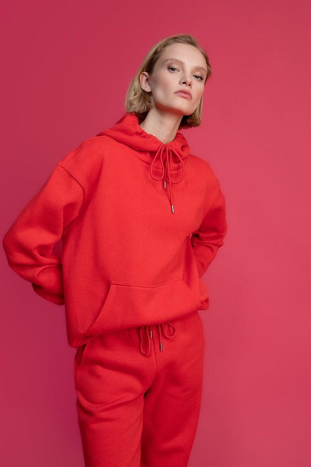 Regular Fit Kapüşonlu Sweatshirt - 2