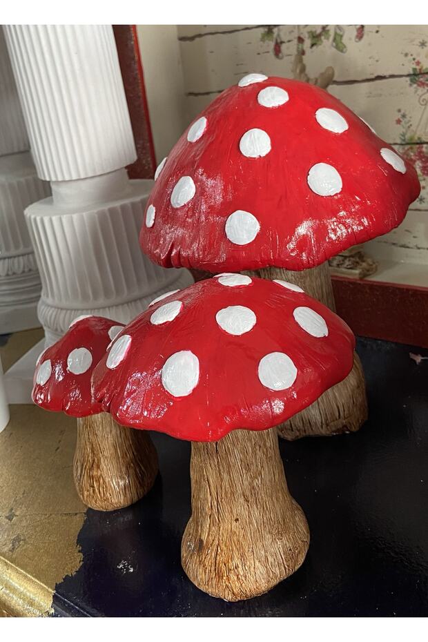 Üçlü Mantar Set - 3