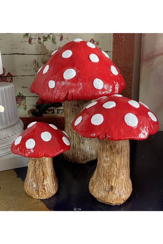 Üçlü Mantar Set - 4