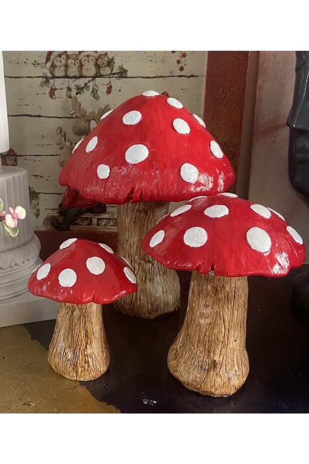 Üçlü Mantar Set - 1