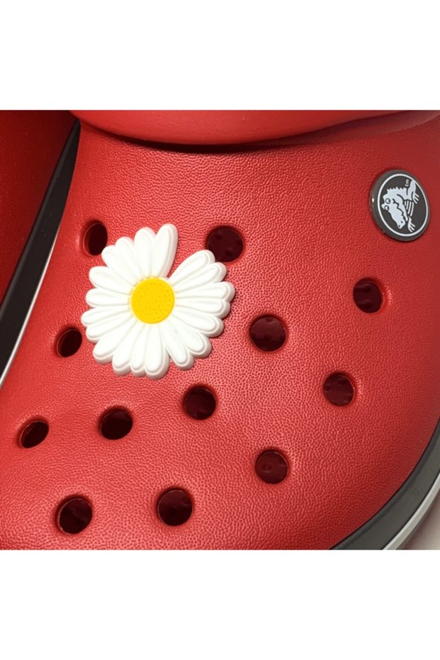 Crocterlik Ornament & Colorful Accessory