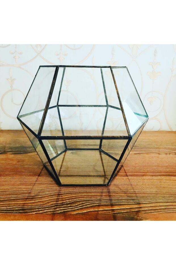 Teraryum Genişgen - 1