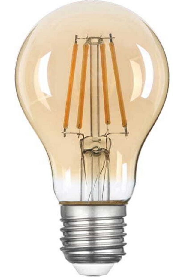 A60 Filament Edison Tip Rustik E-27 Bal Cam 6 W Led Ampul - Günışığı Erd-37 - 1