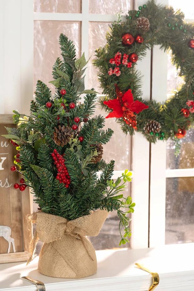 Mini Çam Ağacı 61 Cm - 1