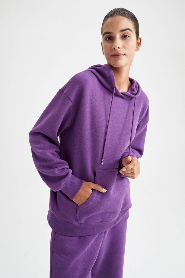 Regular Fit Kapüşonlu Sweatshirt - 4