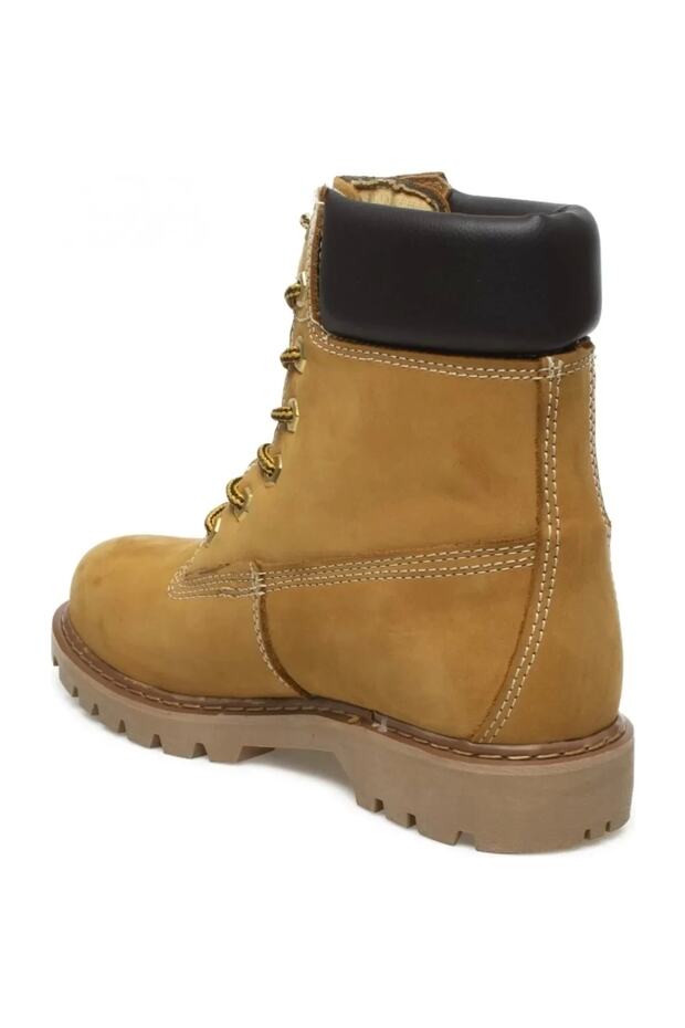 Cat Clovıs Honey - 3