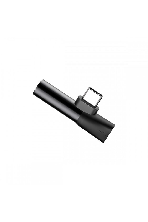 L41 Carcase tip C - 4