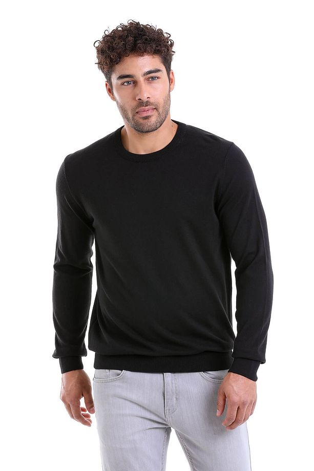 Erkek Siyah Regular Fit %100 Pamuk Bisiklet Yaka Triko Kazak - 2